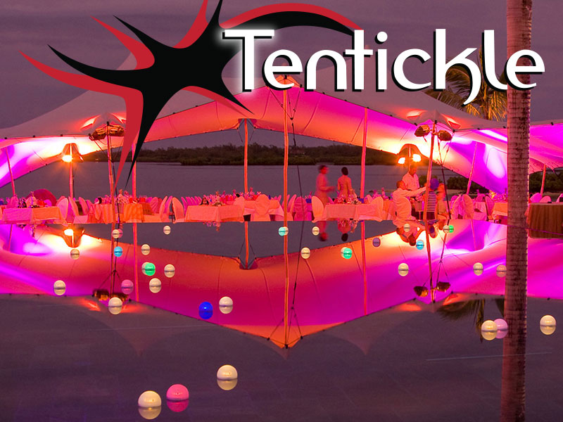 Tentickle logo (2) 0